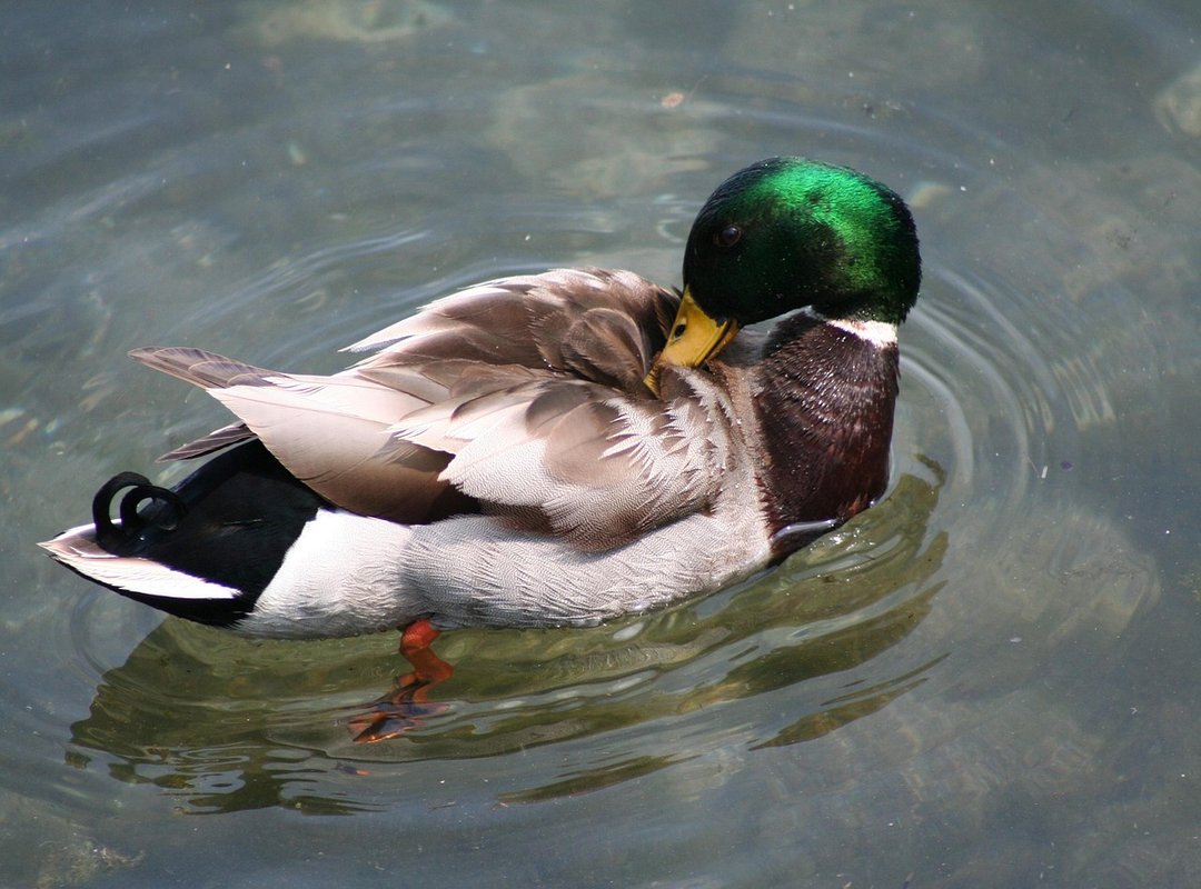 Easy Recipes Heartarkable