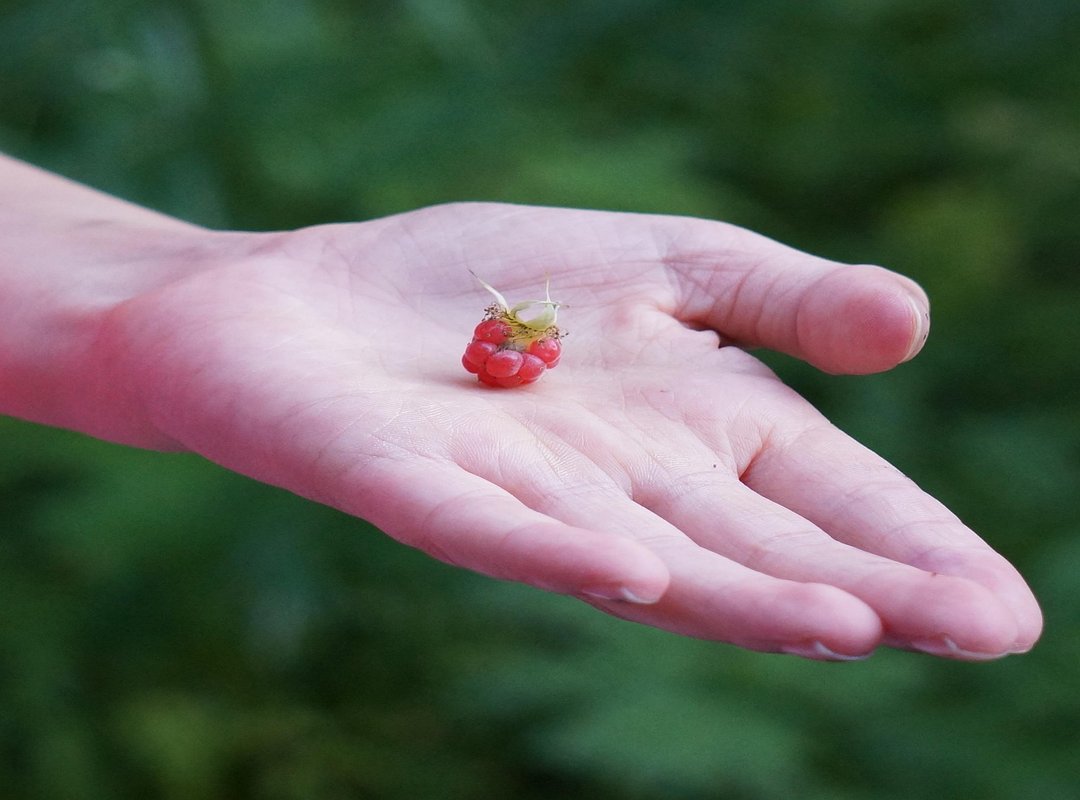 Top 5 Reasons You're Seeing This Login Failure