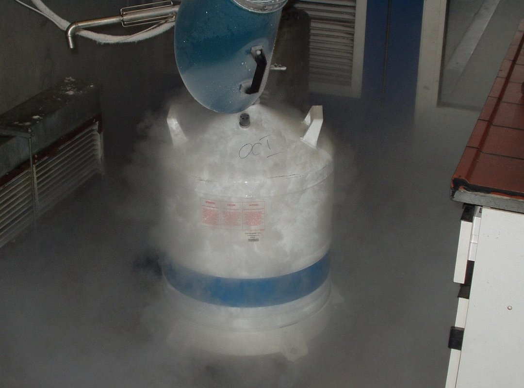 liquid nitrogen cooking