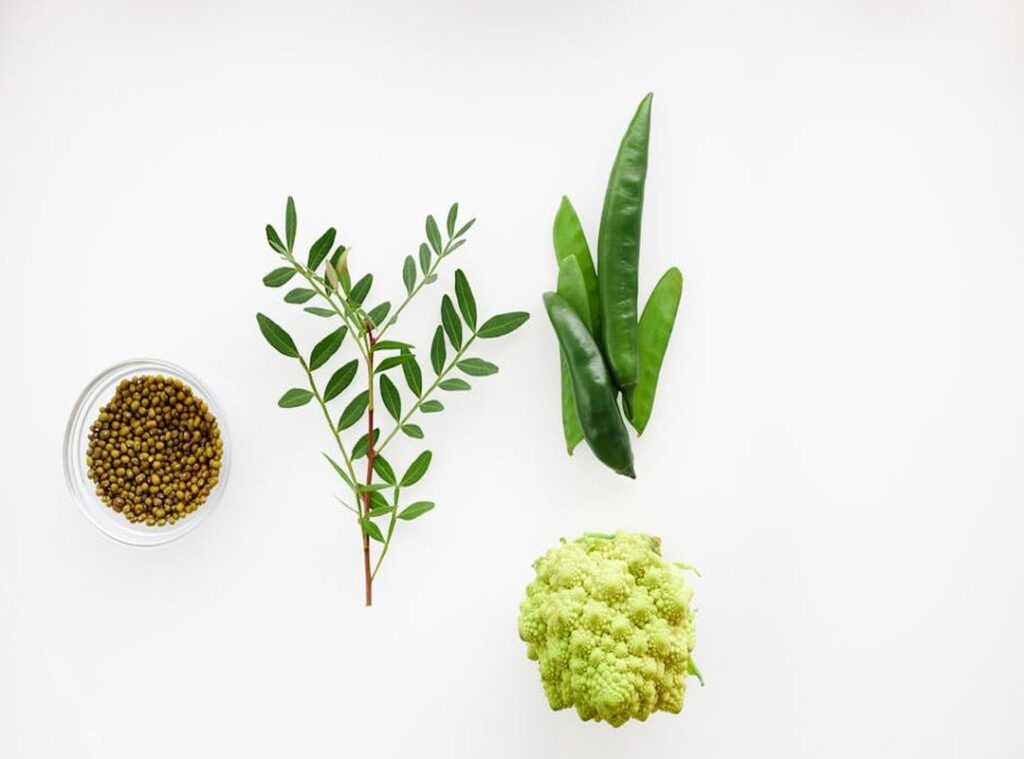 rise plant-based diets