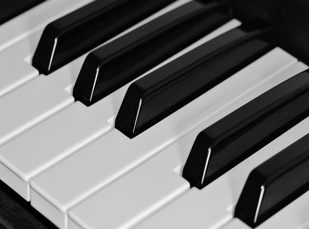 Key Features and Popular Content to Explore